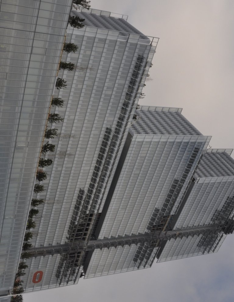 DSC_0586.JPG